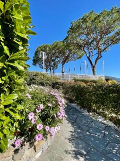 Portofino Est Residence - Rapallo - 3