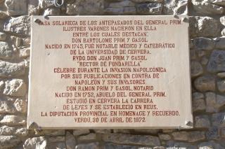 Ca naleix verdu - Verdú - 6