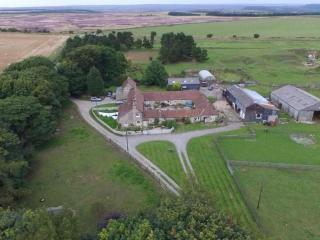 High Paradise Farm - Thirsk - 5