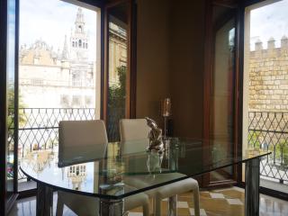 Luxury Apartment with views to Alcazar, Cathedral and Giralda. - Siviglia - 2