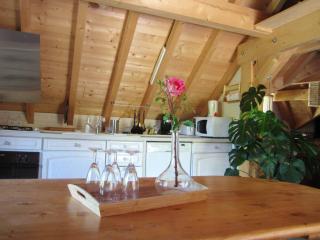 Chalet écologique à La Thuile avec vue sur montagne - La Thuile - 1