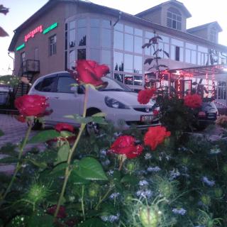 Altamira Hotel - Karakol - 9