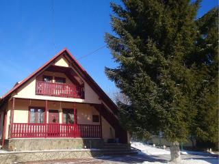 Casa de vacanta Moieciu de Jos - Moieciu de Jos - 5