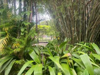 Rio Natureza apart 105 - Río de Janeiro - 5