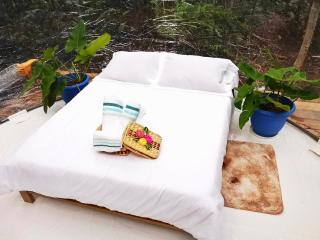 Glamping Amazonas - Leticia - 3