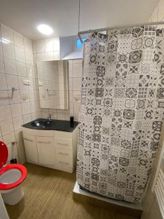 T2 Centre Ville Neveu - Tarbes - 6