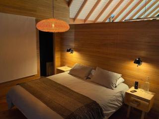 Luxury mountain loft - Pucón - 2