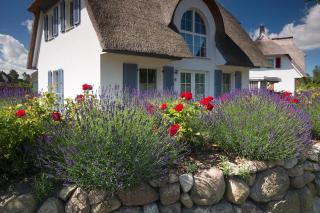 Ferienhaus Schilfrohrsaenger 28 - Fuhlendorf - 5