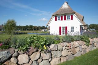 Ferienhaus Schilfrohrsaenger 61 - Fuhlendorf - 2
