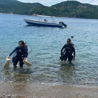 Saltitude Dive & Beach Resort - Mabini - 7