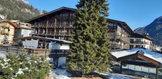 Hotel Trento - Pozza di Fassa - 9