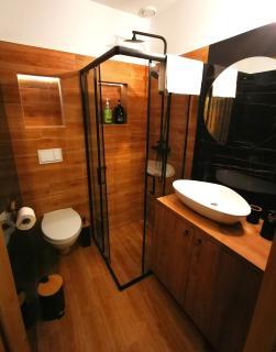 JapanApartment - Jacuzzi - Katowice - 7