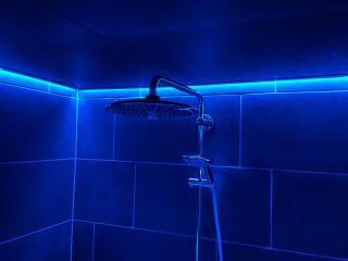 Bed en Wellness de Paauw - 2