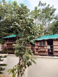 Garden of Gen Resort - Labayo - 4