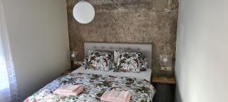 Järvevaatega majutuskoht - 4