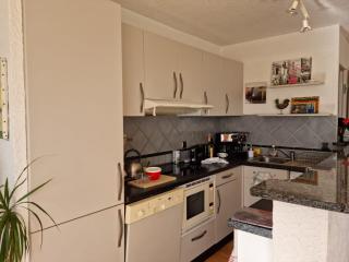 ROCADE DE COLLIOURE appt T4 avec grande terrasse et garage - Collioure - 4