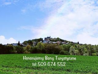 Alba Góra Św Anny Restauracja i Pokoje - Góra Świętej Anny - 7