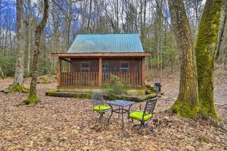 Peaceful Mountain City Cabin with Porch and Fire Pit - Mountain City - 0