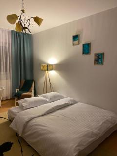 Cazare Medias, apartament modern - Mediaş - 6