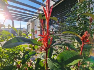 Casa da Leira - Amarante - 1