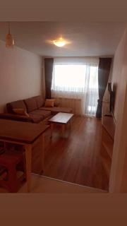 Belvedere luxury apartment - Bansko - 3