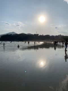 Jardim das Palmeiras - 8