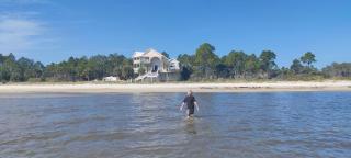 Paradise by the Sea - Carrabelle - 0