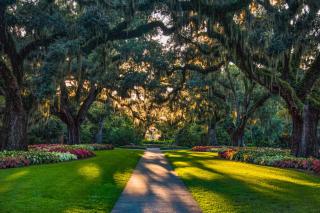 Snorkel Way - Myrtle Beach - 3