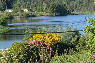 Riverview Retreat - Reedsport - 9