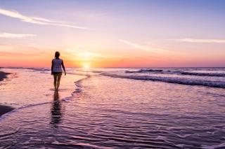 Beach Bliss - Myrtle Beach - 4