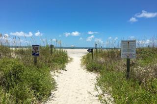 Pelican Bay 46 - Isle of Palms - 4
