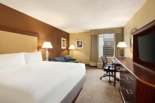 Crowne Plaza Crystal City-Washington, D.C. by IHG - 3