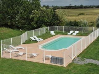 Gîte rénové avec piscine, spa, et accès handicapés au cœur du Marais Breton - FR-1-426-280 - Soullans - 9
