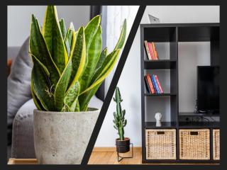 Matisse Hotflat - Varna - 8