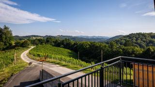 Ferienwohnung Weingut Birnstingl - Gamlitz - 3