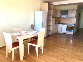 Petrovac Holiday Apartments 2 - Petrovac na Moru - 4
