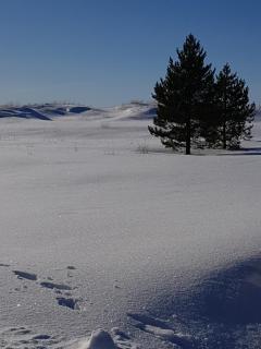 Ranta-Sumppu mökki 7 - 2