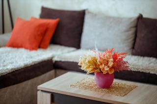 Apartman Marija - Nova Varoš - 8