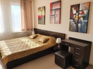 Spacious and Cosy Apartment in Bansko Royal Towers Complex - Bansko - 4