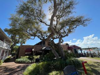 The Riverview Hotel - New Smyrna Beach - New Smyrna Beach - 2