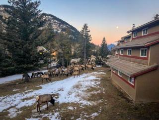 HI Banff Alpine Centre - Hostel - Banff - 5