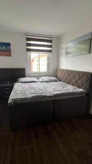 Apartman Centrum 403 - Ústí nad Labem - 7