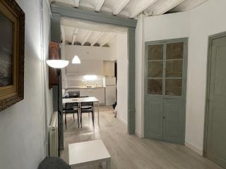 Cal Mestre- Olot - Olot - 7