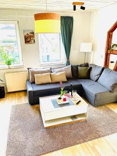 Schöne ruhige Ferienwohnung - in Eisenach mit Kamin - Nahe Karolinentalbrücke - Hund ja - Eisenach - 3