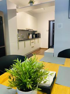 Apartament Zdrój Lądek - Lądek-Zdrój - 4
