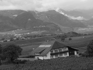 Landhaus Weingut - Cornaiano - 9