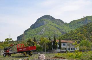 Agroturizem Hotel Vila Franceze - 5