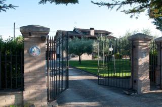 La Strada Di Francesco D'Assisi - 8