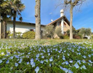 Villa Marinella Apartments - Locazione Turistica - Marinella - 9