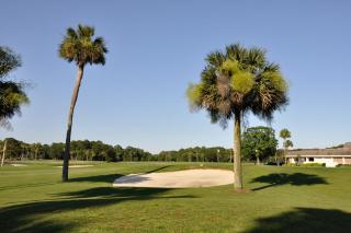 Hilton Head Cabanas 29 - Hilton Head Island - 7